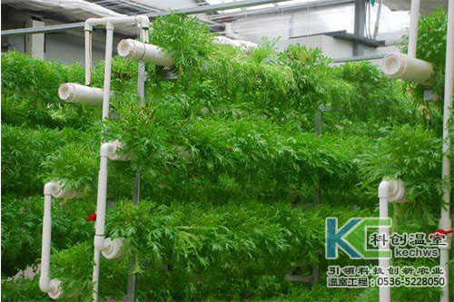 無土栽培，無土栽培技術，無土栽培設備