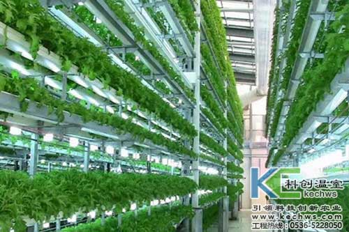 無土栽培，無土栽培技術(shù)，無土栽培設(shè)備