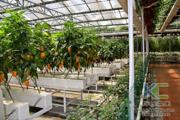 無土栽培，無土栽培技術