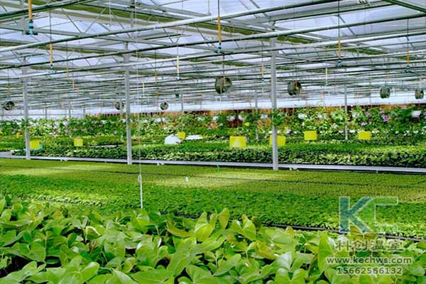 無土栽培，無土栽培技術(shù)