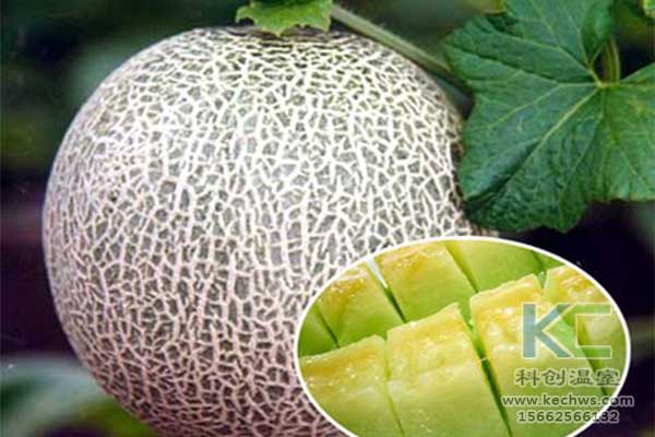 無土栽培，無土栽培技術，無土栽培設備