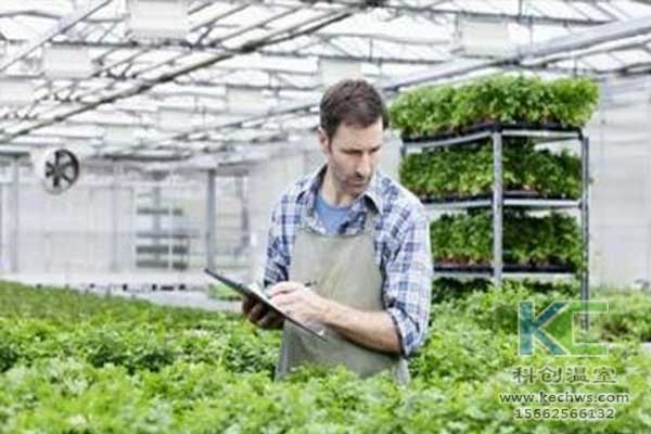 無土栽培，無土栽培技術(shù)，無土栽培設(shè)備