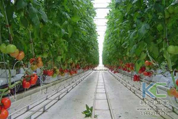 無土栽培，無土栽培技術，無土栽培設備