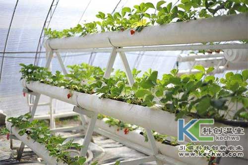無土栽培，無土栽培技術，無土栽培設備