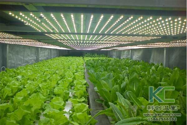 無土栽培，無土栽培技術