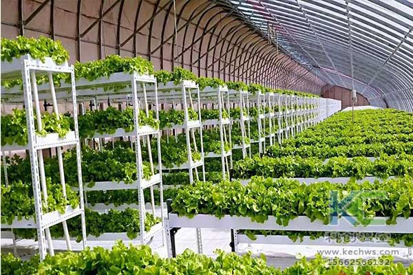 無土栽培，無土栽培技術