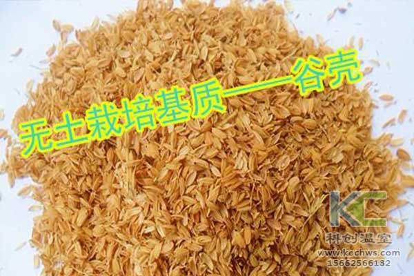 無土栽培，無土栽培技術，無土栽培設備