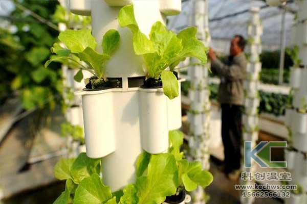 無土栽培，無土栽培技術，無土栽培設備