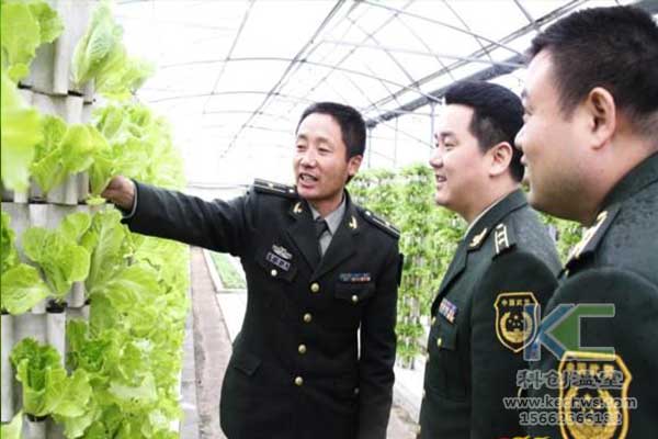 無土栽培，無土栽培技術(shù)