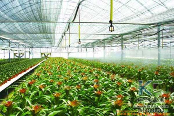 無土栽培，無土栽培技術，無土栽培設備
