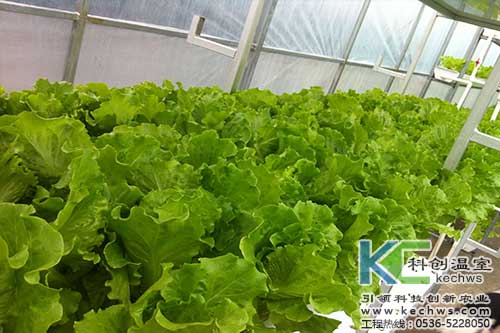 無土栽培，無土栽培技術，無土栽培設備