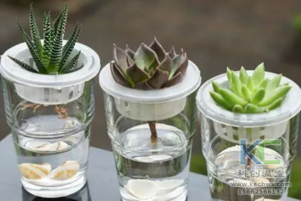 無土栽培，無土栽培技術，無土栽培設備