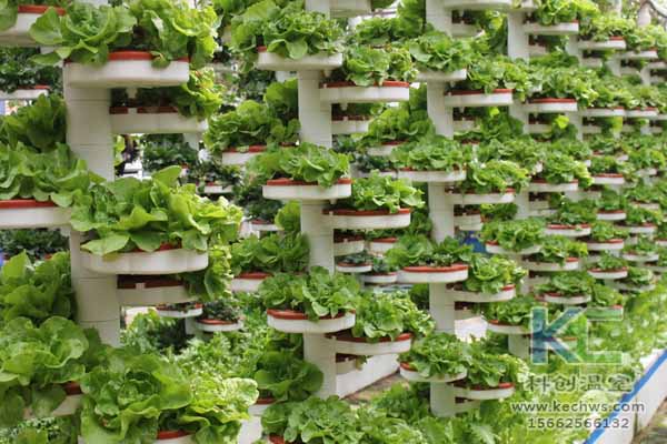 無土栽培技術,無土栽培設備,無土栽培,溫室大棚