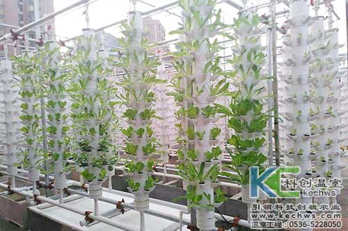 立柱栽培，無土栽培，天空農(nóng)場