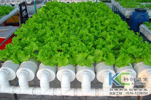 無土栽培，無土栽培技術，無土栽培設備