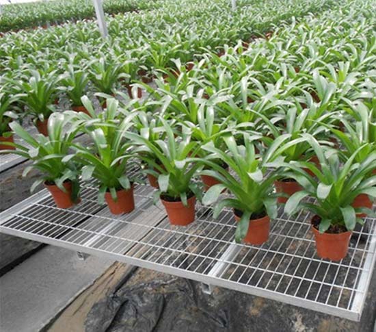 無土栽培，無土栽培技術，無土栽培設備