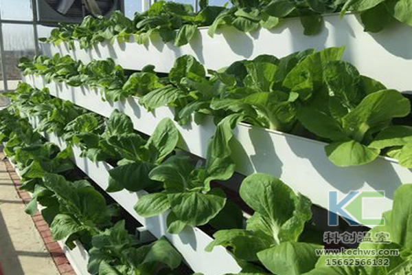 無土栽培,無土栽培技術(shù),無土栽培設(shè)備