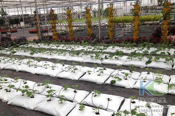 無土栽培,無土栽培技術,無土栽培設備