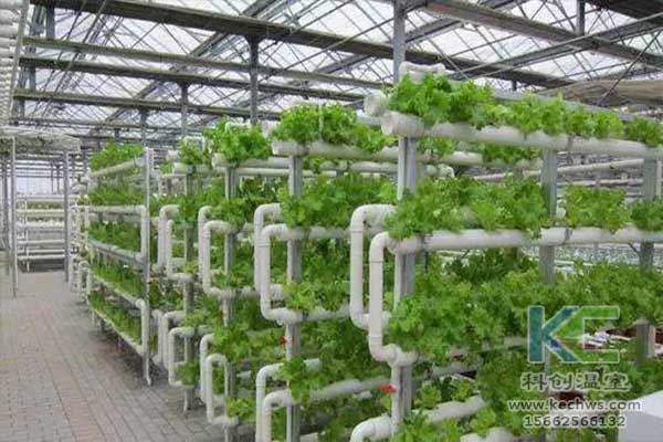 無土栽培,無土栽培技術,無土栽培設備