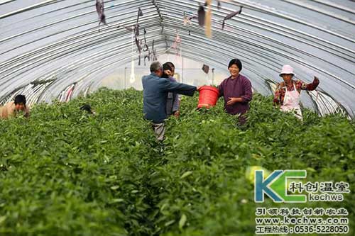 無(wú)土栽培，無(wú)土栽培技術(shù)，無(wú)土栽培設(shè)備