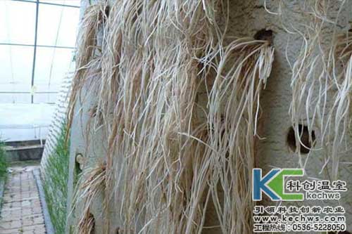 無土栽培，無土栽培技術(shù)，無土栽培設(shè)備