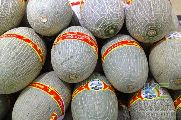 無土栽培，無土栽培技術，無土栽培設備