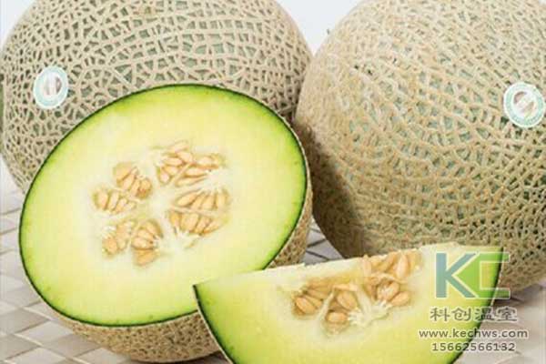 無土栽培，無土栽培技術，無土栽培設備