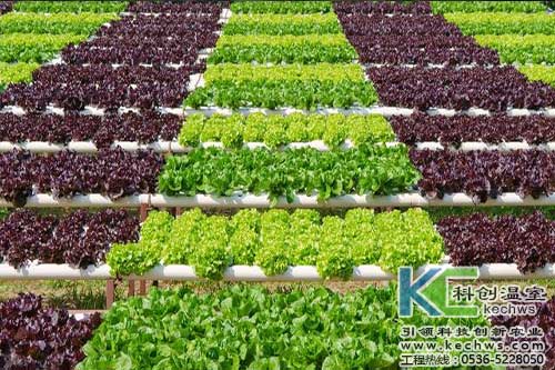 無土栽培，無土栽培技術，無土栽培設備