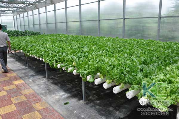 無土栽培，無土栽培技術(shù)，無土栽培設(shè)備