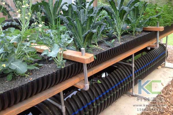 無土栽培，無土栽培技術(shù)，無土栽培設(shè)備