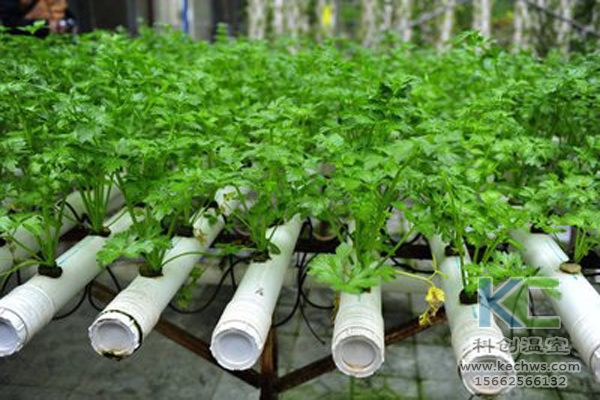 無土栽培，無土栽培技術(shù)，無土栽培設(shè)備