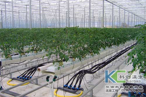 無(wú)土栽培,巖棉,無(wú)土栽培技術(shù)