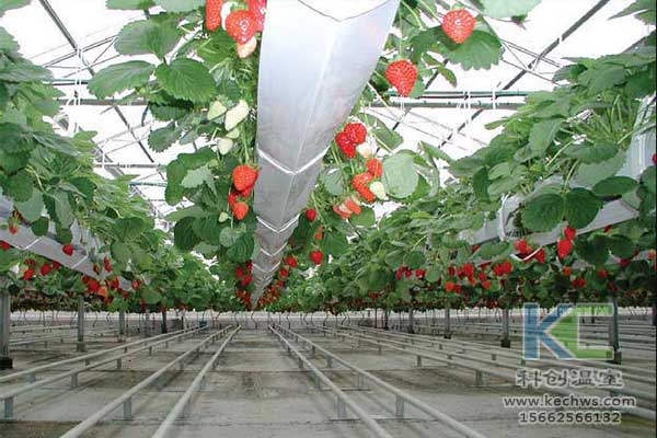 無土栽培，無土栽培技術(shù)，無土栽培設(shè)備