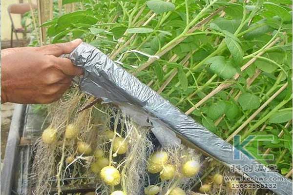 無土栽培，無土栽培技術(shù)，無土栽培設(shè)備