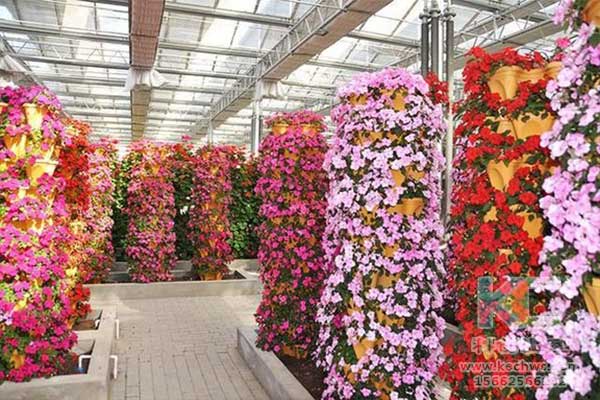 無土栽培，無土栽培技術，無土栽培設備