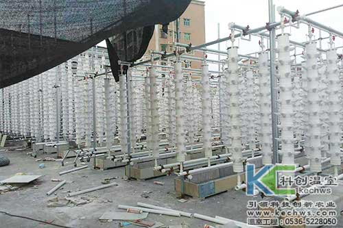 立柱栽培，無土栽培，天空農(nóng)場