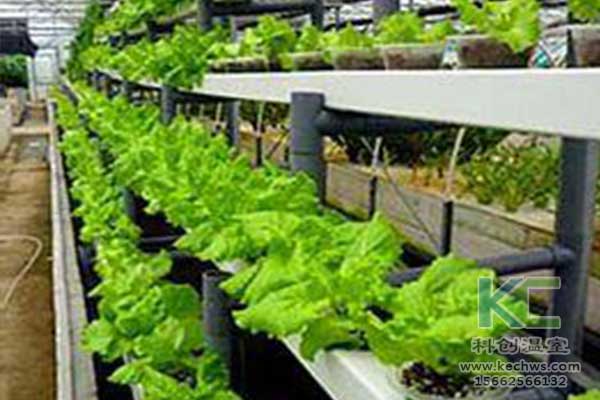 無土栽培，無土栽培技術，無土栽培設備