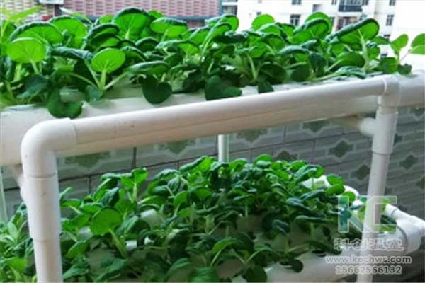 無土栽培，無土栽培技術，無土栽培設備