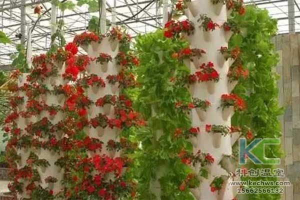 無土栽培,無土栽培技術,無土栽培設備