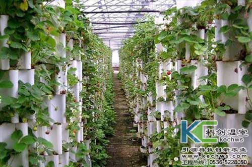 無土栽培，無土栽培技術，無土栽培設備