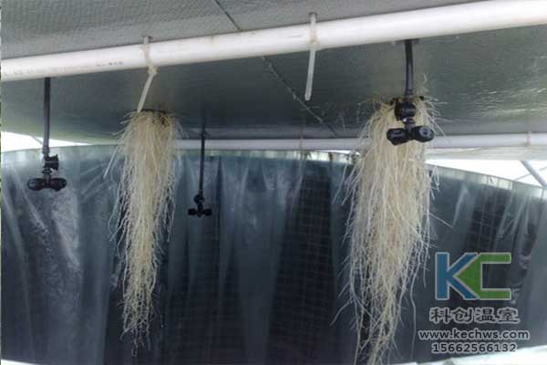 無土栽培，無土栽培技術(shù)，無土栽培設(shè)備