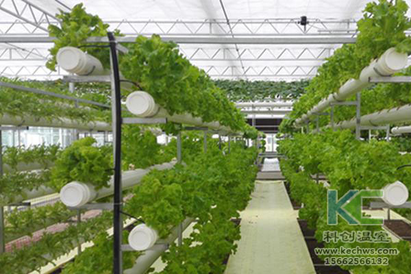 無土栽培，無土栽培技術，無土栽培設備