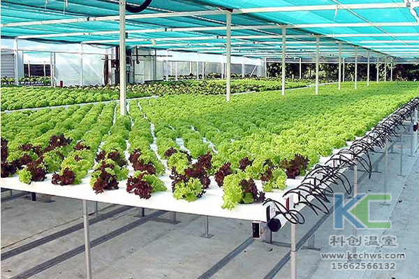 無土栽培，無土栽培技術(shù)，無土栽培設(shè)備