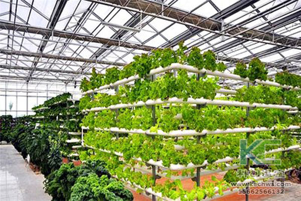 無土栽培,無土栽培技術,溫室大棚,蔬菜大棚