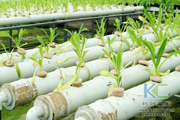 無土栽培技術，無土栽培設備，無土栽培，溫室大棚