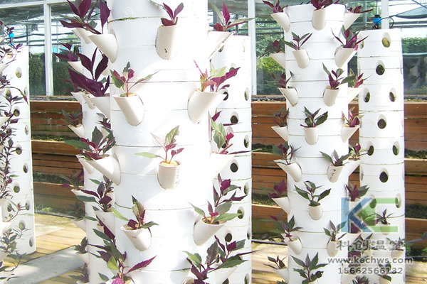 無土栽培，無土栽培技術(shù)，無土栽培設(shè)備