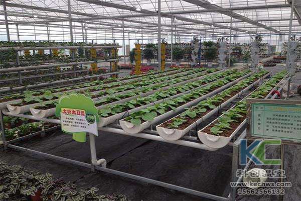 無土栽培，無土栽培技術，無土栽培設備