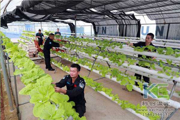 無土栽培，無土栽培技術(shù)，無土栽培設(shè)備