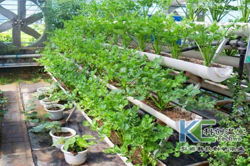 無(wú)土栽培,無(wú)土栽培技術(shù),無(wú)土栽培設(shè)備