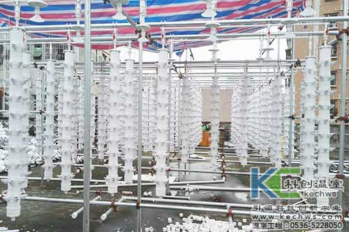 立柱栽培，無土栽培，天空農(nóng)場